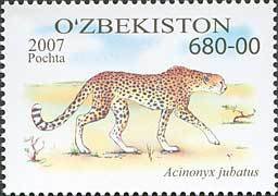Colnect-843-834-Cheetah-Acinonyx-jubatus.jpg