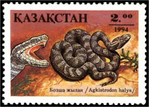 Stamp_of_Kazakhstan_051.jpg
