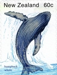 Colnect-1059-796-Humpback-Whale-Megaptera-novaeangliae.jpg