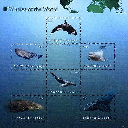 Colnect-1696-290-Whales-of-the-World.jpg