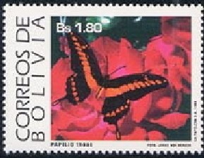 Colnect-2102-199-King-Swallowtail-Papilio-thoas.jpg