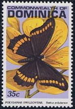 Colnect-2159-370-Polydamas-Swallowtail-Papilio-polydamas.jpg