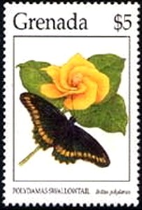 Colnect-2176-002-Polydamas-Swallowtail-Papilio-polydamas.jpg