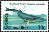 Colnect-2992-179-Humpback-Whale-Megaptera-novaeangliae.jpg