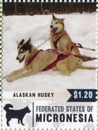 Colnect-5812-300-Alaskan-huskies.jpg