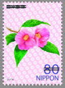 Colnect-1997-605-Camellia-japonica.jpg