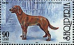 Colnect-1523-123-Dog-Canis-lupus-familiaris.jpg