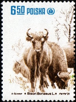 Colnect-1997-632-European-Bison-Bison-bonasus.jpg