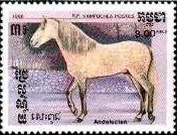 Colnect-2142-482-Andalusian-Equus-ferus-caballus.jpg