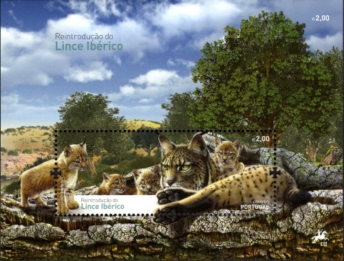 Colnect-2750-076-Iberian-lynx-Lynx-pardinus.jpg
