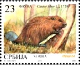 Colnect-3322-892-Eurasian-Beaver-Castor-fiber.jpg