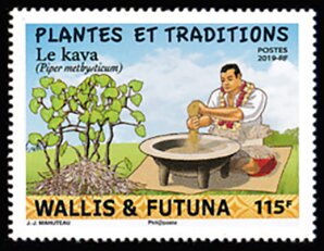 Colnect-6217-481-Kava-and-Drink-Preparation.jpg