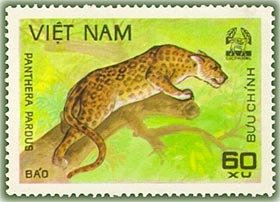 Colnect-1160-417-Leopard-Panthera-pardus.jpg