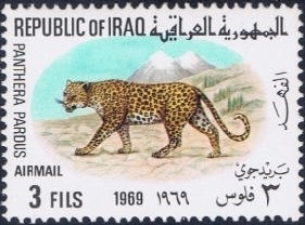 Colnect-1536-108-Leopard-Panthera-pardus.jpg