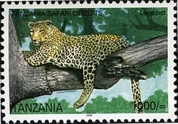 Colnect-1690-435-Leopard-Panthera-pardus.jpg