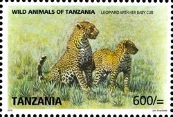 Colnect-1692-789-Leopard-Panthera-pardus.jpg