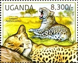 Colnect-1716-939-Leopard-Panthera-pardus.jpg