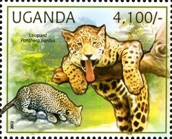 Colnect-1716-941-Leopard-Panthera-pardus.jpg