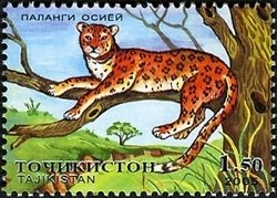 Colnect-1739-192-Leopard-Panthera-pardus.jpg