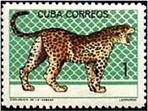 Colnect-1973-998-Leopard-Panthera-pardus.jpg