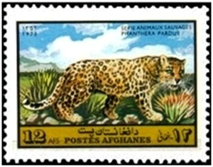 Colnect-2161-064-Leopard-Panthera-pardus.jpg