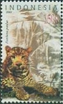 Colnect-2479-491-Leopard-Panthera-pardus.jpg