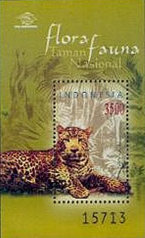Colnect-2489-034-Leopard-Panthera-pardus.jpg