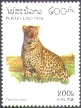Colnect-2786-198-Leopard-Panthera-pardus.jpg