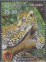 Colnect-3165-372-Leopard-Panthera-pardus.jpg