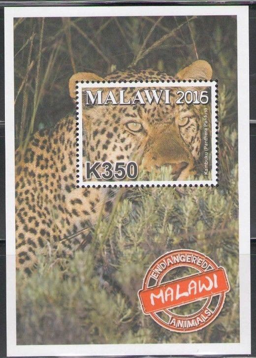 Colnect-4513-720-Leopard-Panthera-pardus.jpg