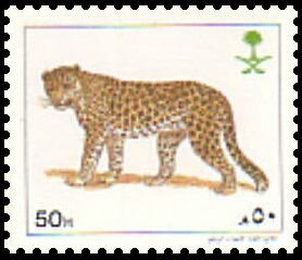Colnect-5825-243-Leopard-Panthera-pardus.jpg