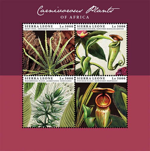 Colnect-6300-008-Carnivorous-Plants.jpg