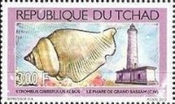 Colnect-1671-790-Grand-Bassam-Ivory-Coast---Humpbacked-Conch-Strombus-gibbe.jpg