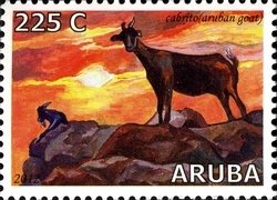 Colnect-1622-493-Aruban-Goats-Capra-aegagrus-hircus.jpg
