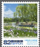 Colnect-3541-731-Iris-in-Suigo-Sawara-Aquatic-Botanical-Garden.jpg