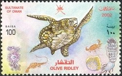 Colnect-1541-149-Olive-Ridley-Sea-Turtle-Lepidochelys-olivacea.jpg