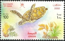 Colnect-1541-150-Green-Sea-Turtle-Chelonia-mydas.jpg