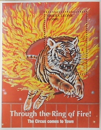 Colnect-1873-940-Tiger-Panthera-tigris-jumping-through-Fire.jpg