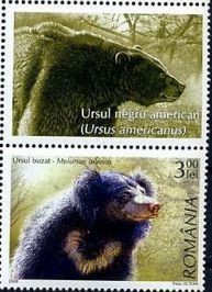 Colnect-1402-681-Sloth-Bear-Melursus-ursinus.jpg