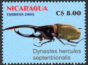 Colnect-1412-452-Hercules-Beetle-Dynastes-hercules.jpg