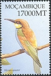 Colnect-1486-310-European-Bee-eater-Merops-apiaster.jpg