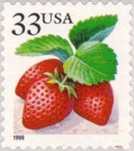 Colnect-201-233-Fruit-Berries-Strawberries.jpg