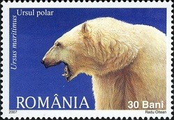 Colnect-761-968-Polar-Bear-Ursus-maritimus.jpg