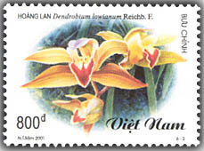 Colnect-1661-192-Dendrobium-Lowianum-Reichbf.jpg