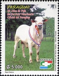 Colnect-1708-048-Cattle-Bos-primigenius-taurus.jpg