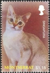 Colnect-1538-355-Singapura-Cat-Felis-silvestris-catus.jpg