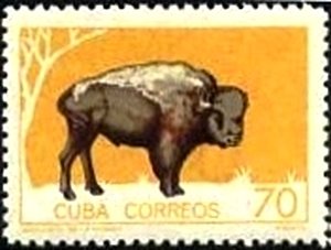 Colnect-1974-014-American-Bison-Bison-bison.jpg