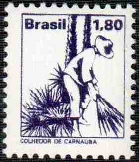 Colnect-795-560-Carnauba-cutter.jpg