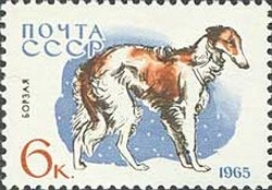 Colnect-885-186-Borzoi-Canis-lupus-familiaris.jpg