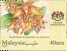 Colnect-5448-307-Orchids-of-Malaysia.jpg